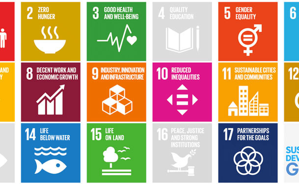 SDG golas white in one