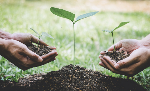 Collective action the focus for final sustainability hui