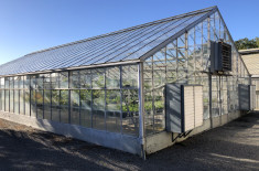 Glasshouse 2