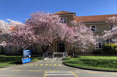 Hudson Hall Blossoms