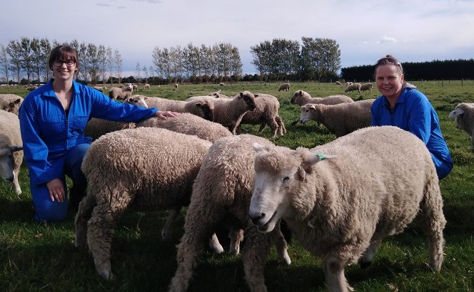 Lincoln researchers receive grants to develop treatment for Battens disease