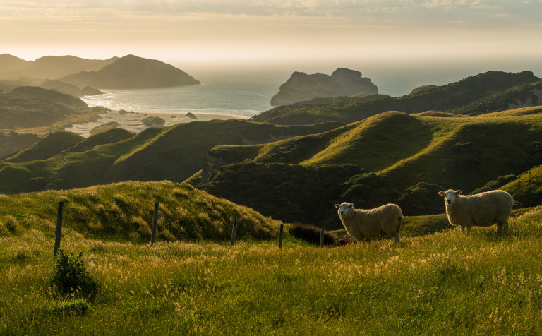 Master of Environment Agriculture